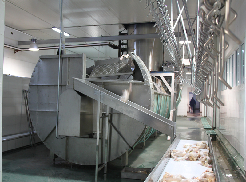 Discount Chicken Slaughterhouse equipment from China manufacturer