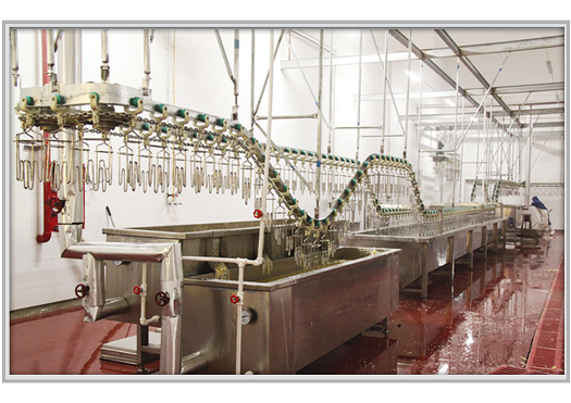Discount Poultry Slaughterhouse machine from China manufacturer