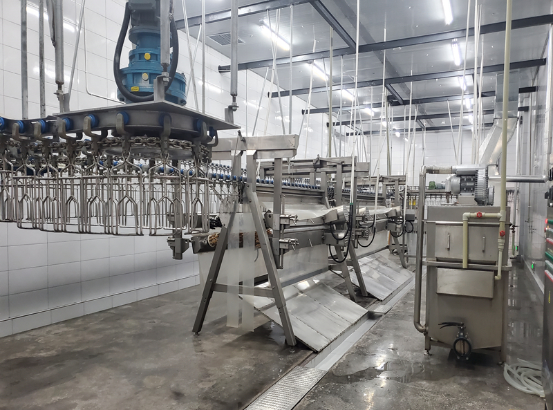 customized Poultry Slaughterhouse machine Wholesale Price
