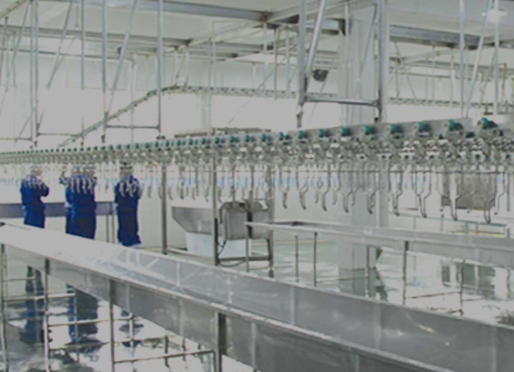 china Poultry Slaughterhouse machine company