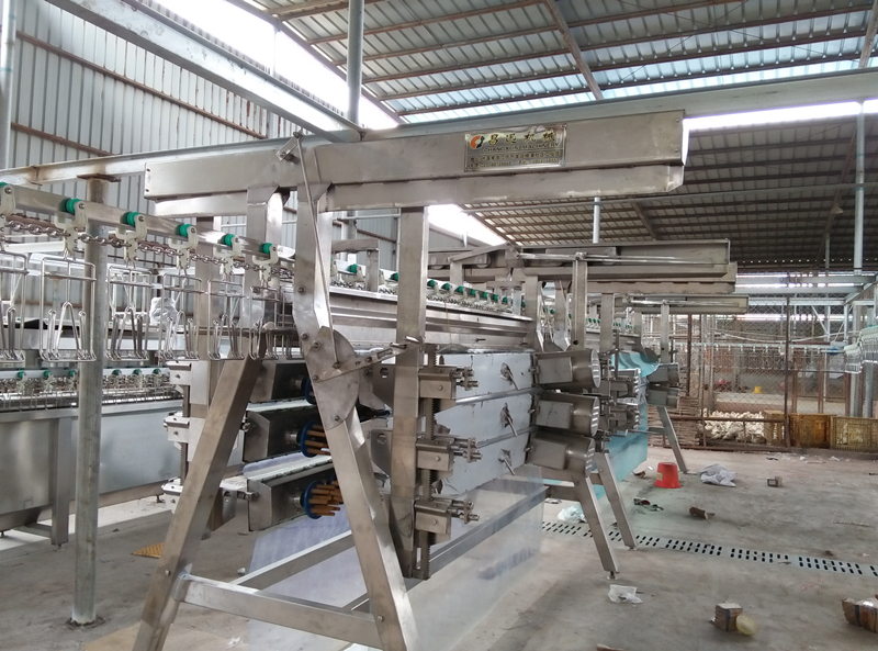 good price and quality Poultry Slaughterhouse machine cost