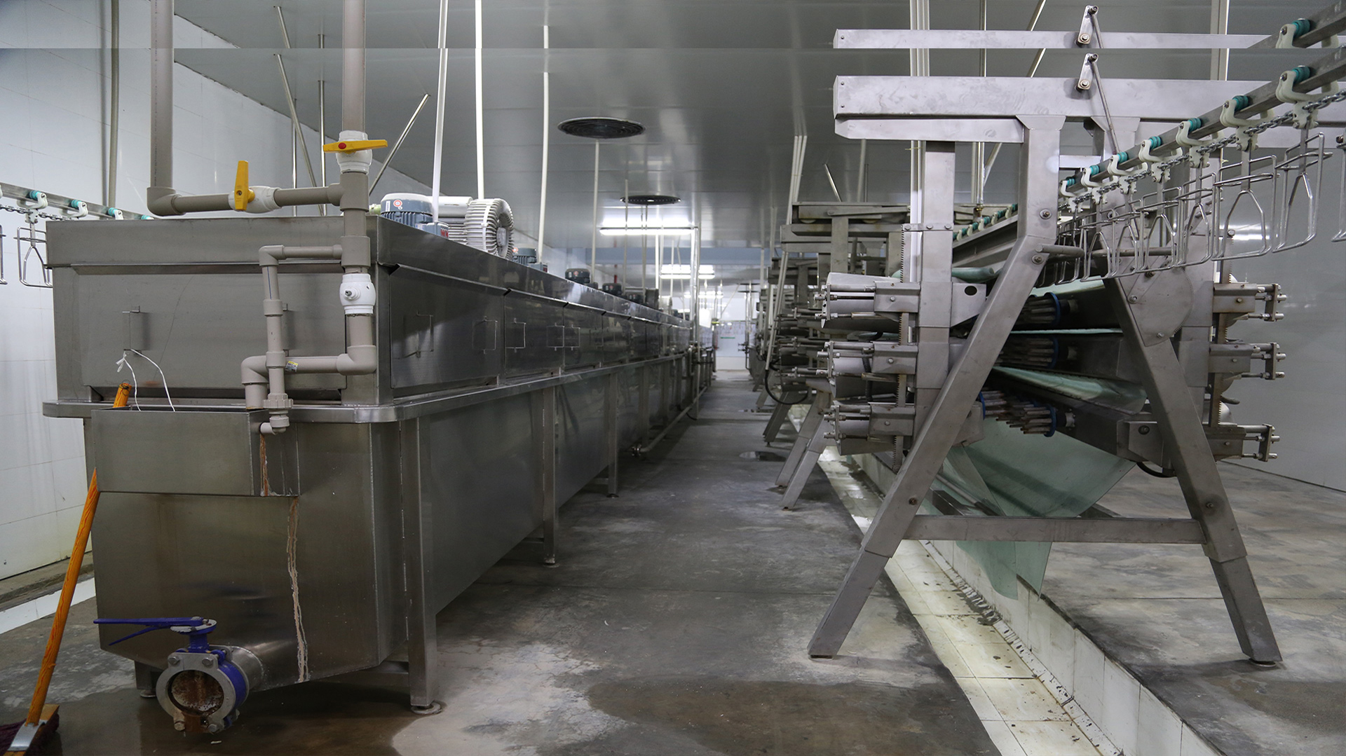 china Poultry Slaughterhouse equipment company