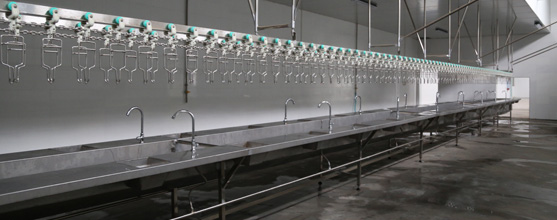 Wholesale Poultry Slaughtering equipment supplier(s) china