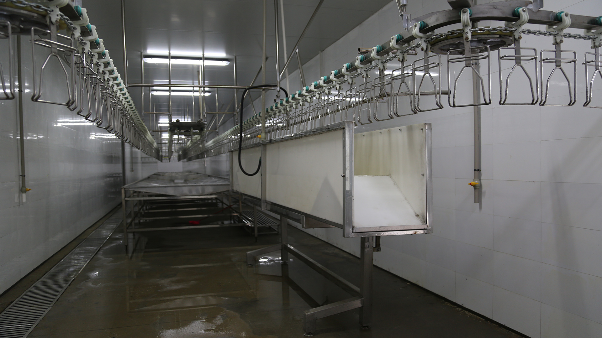 customized Poultry Slaughter equipment Wholesale Price